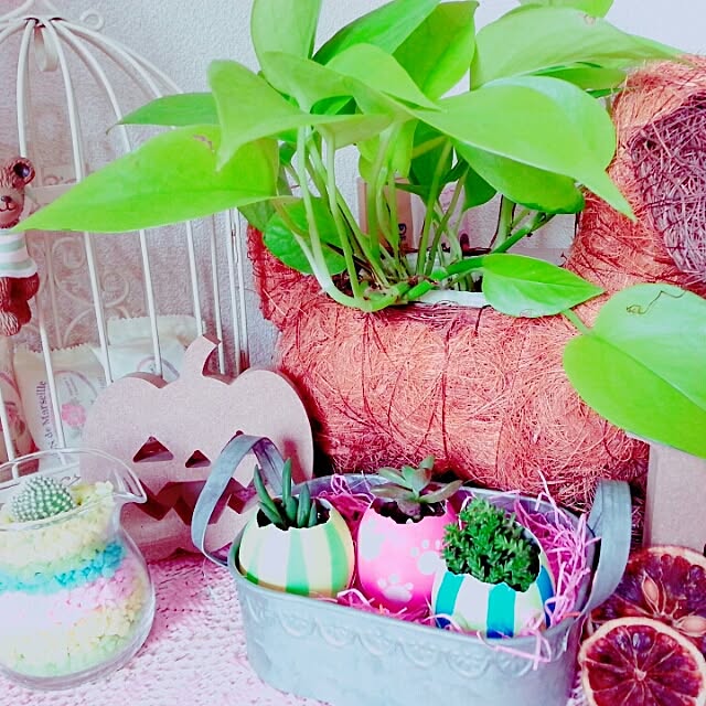 potetoさんの実例写真