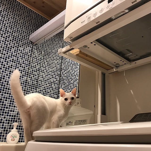 sakurasakuさんの実例写真