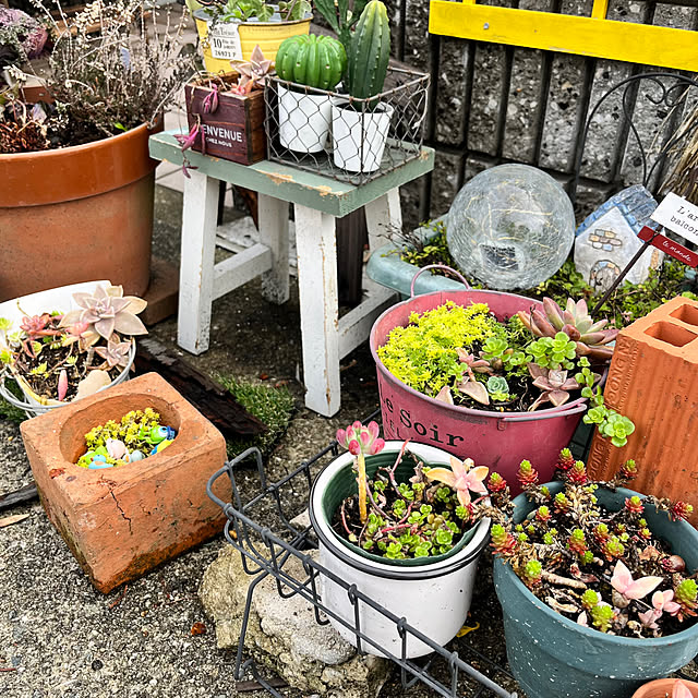 jijiさんの部屋