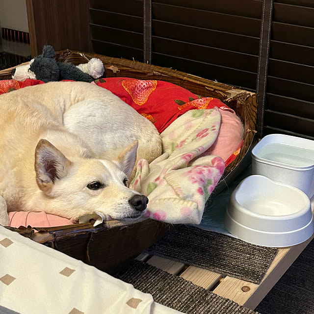 tanboさんの部屋