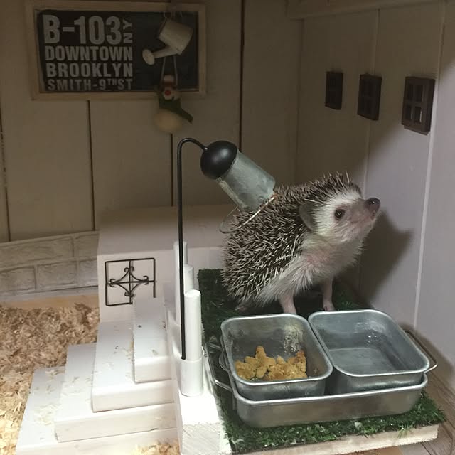 RURULOVEさんの実例写真