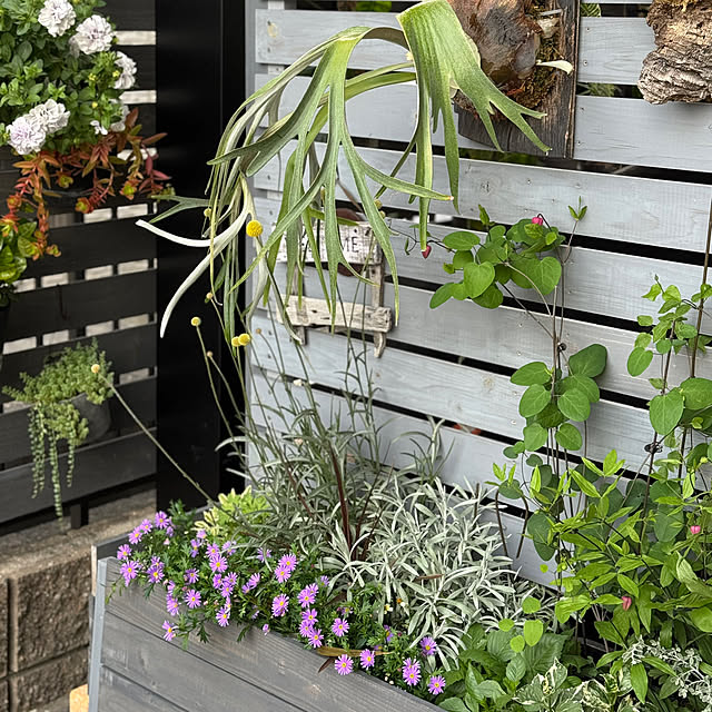 Tomokoさんの実例写真