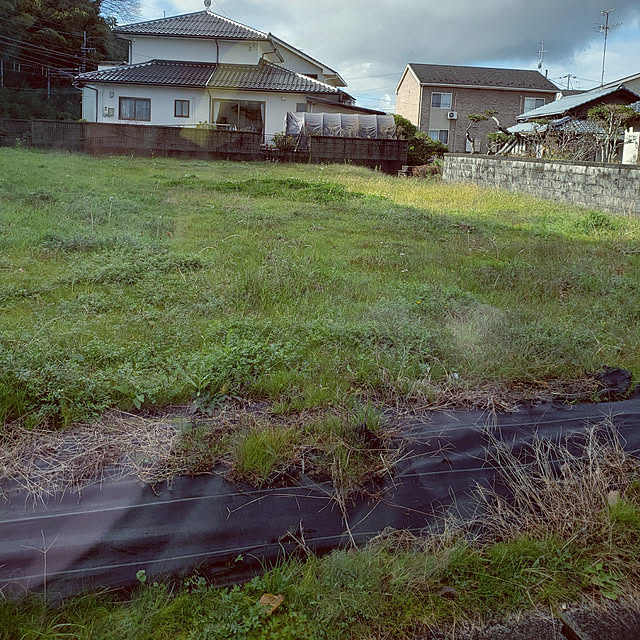 himamaさんの実例写真