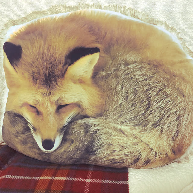 Rurikoさんの実例写真
