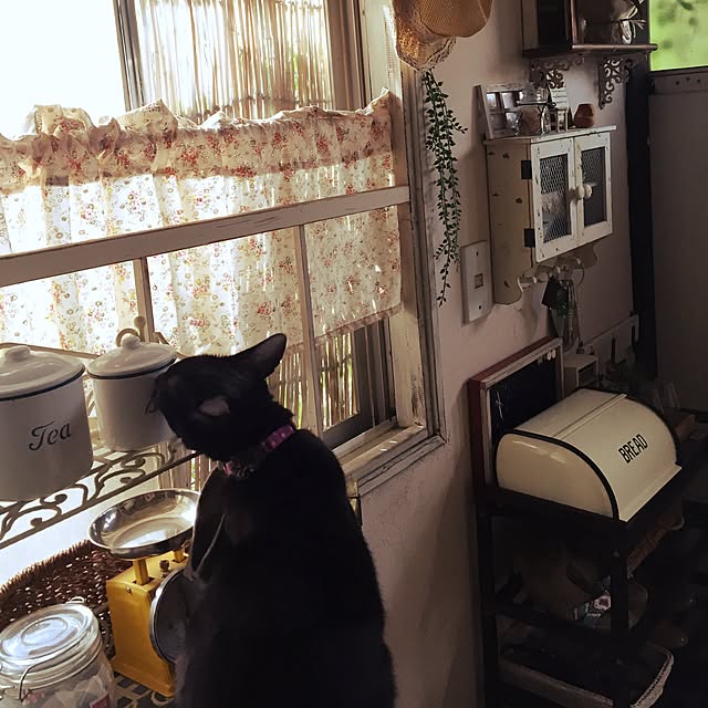 latteさんの実例写真