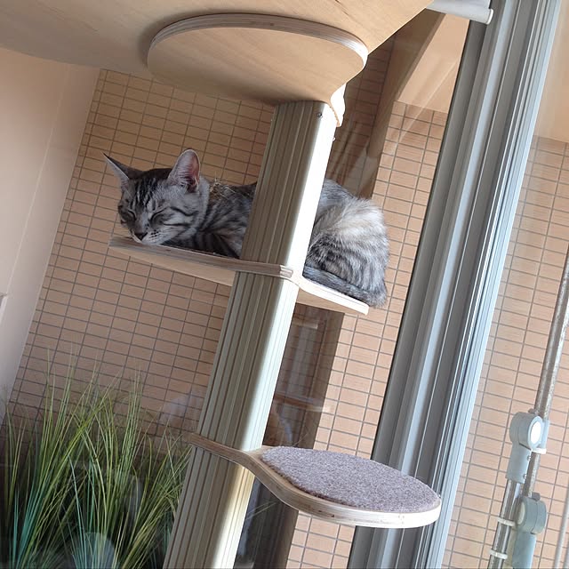 canal108yyさんの実例写真