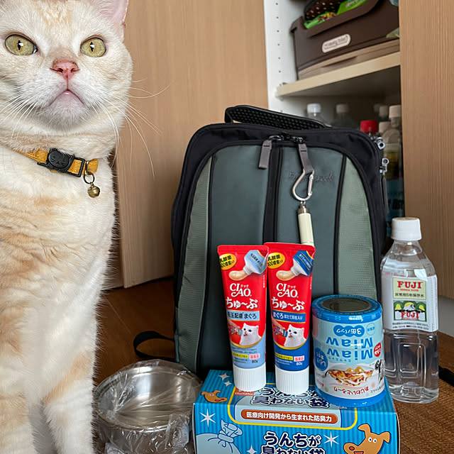 hiyupan88さんの実例写真