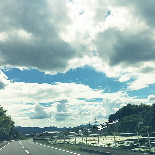 実例写真