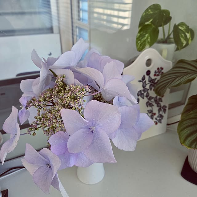 mutyukingさんの部屋