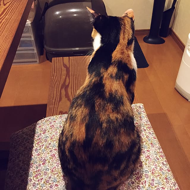mayugonさんの実例写真
