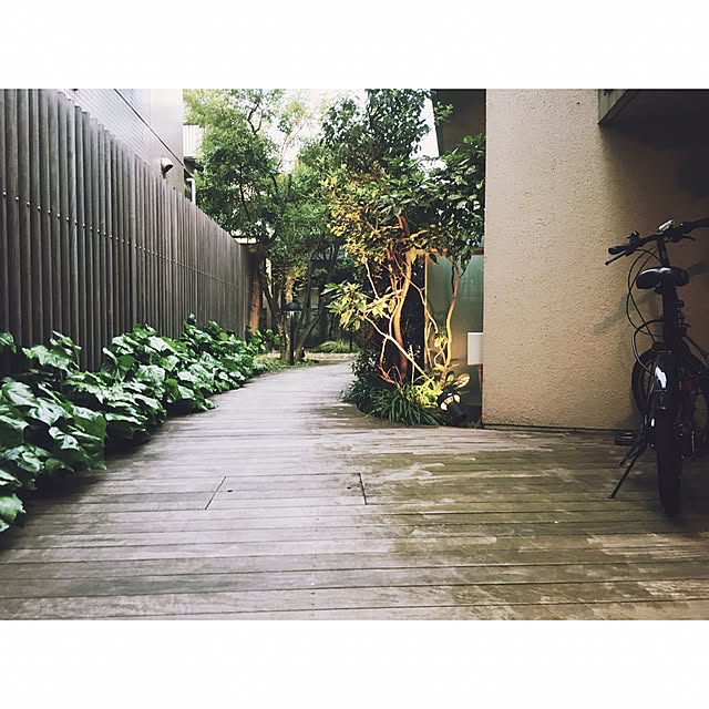 実例写真