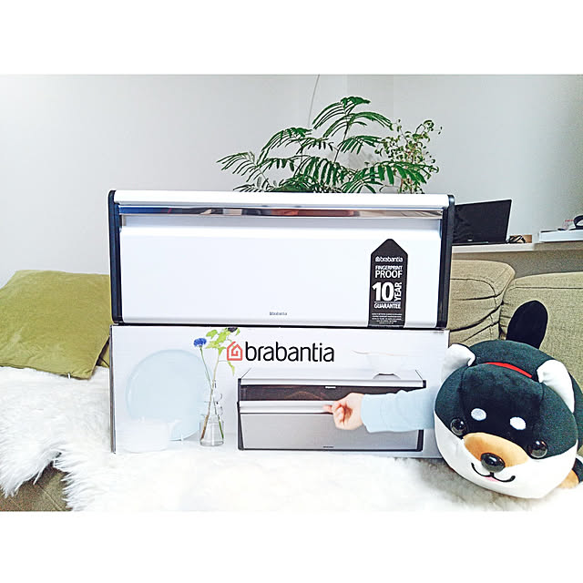 aquaさんの実例写真