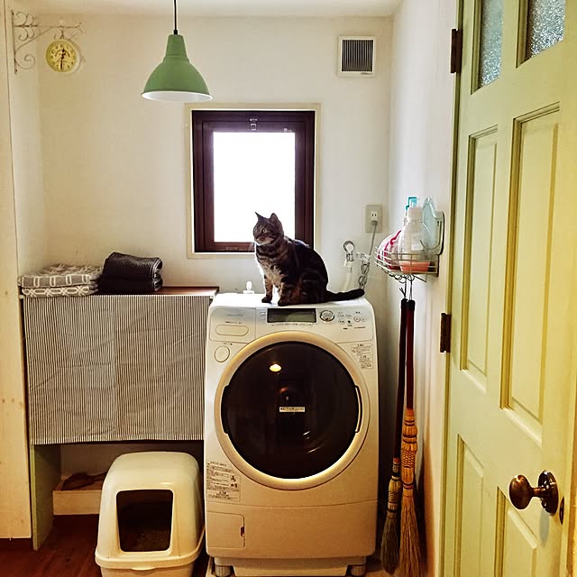 catsmamさんの実例写真