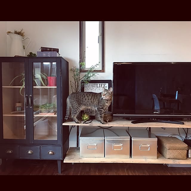 go_slow_and_smileさんの実例写真