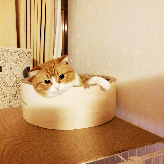 kumingさんの実例写真
