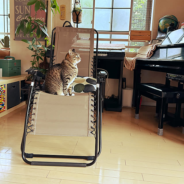 suemonta14さんの実例写真