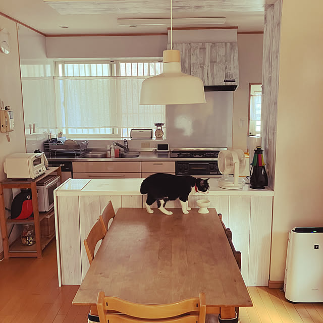 haruさんの実例写真