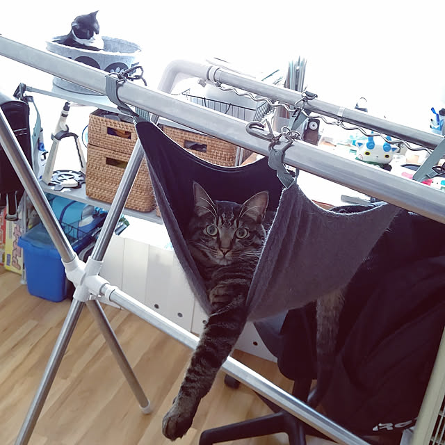 hihaさんの実例写真