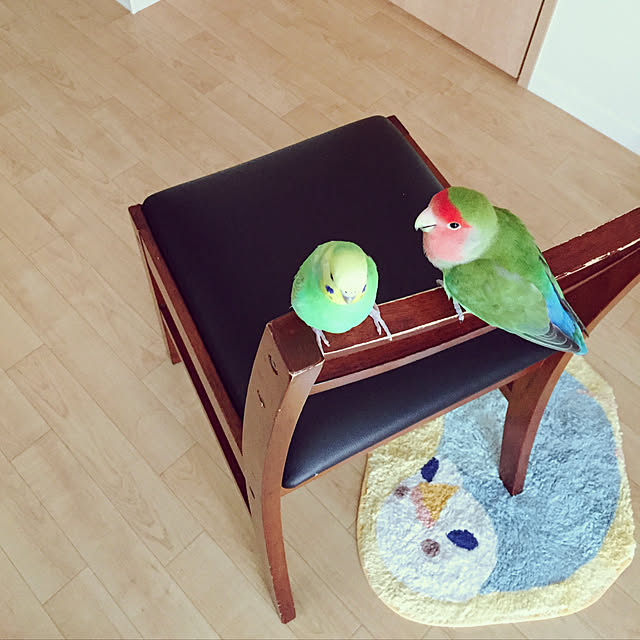 toratanさんの実例写真