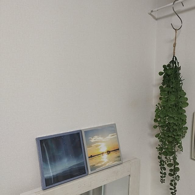 壁/天井/観葉植物のインテリア実例 - 2024-05-25 08:42:00