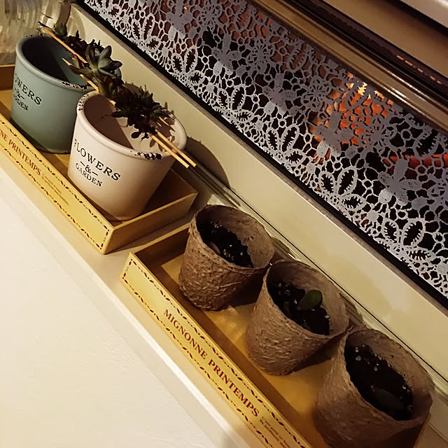 70さんの実例写真