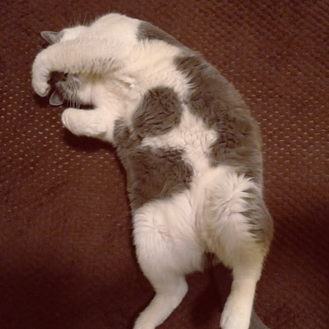 rhuさんの実例写真