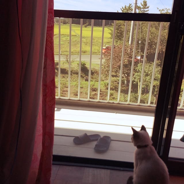 MAKOさんの実例写真