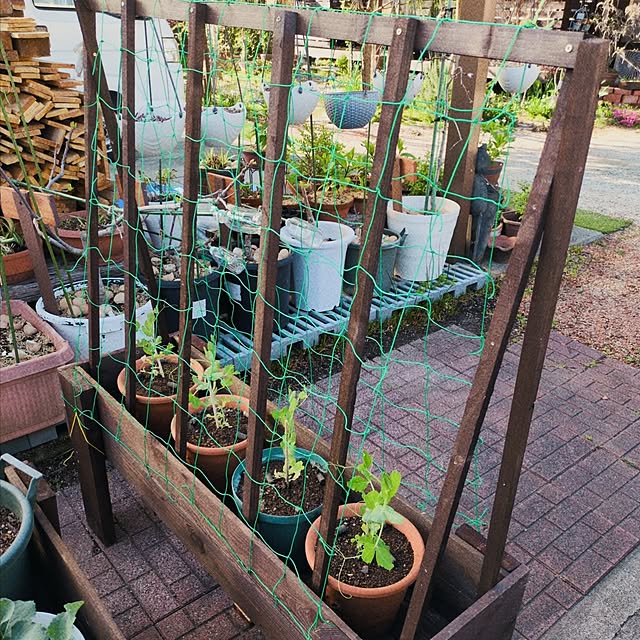 Toraziさんの部屋