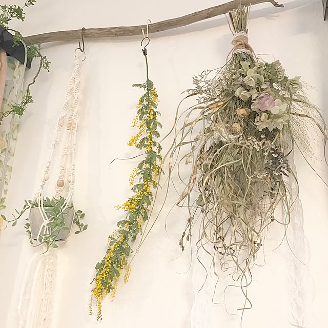 nuinuiさんの実例写真