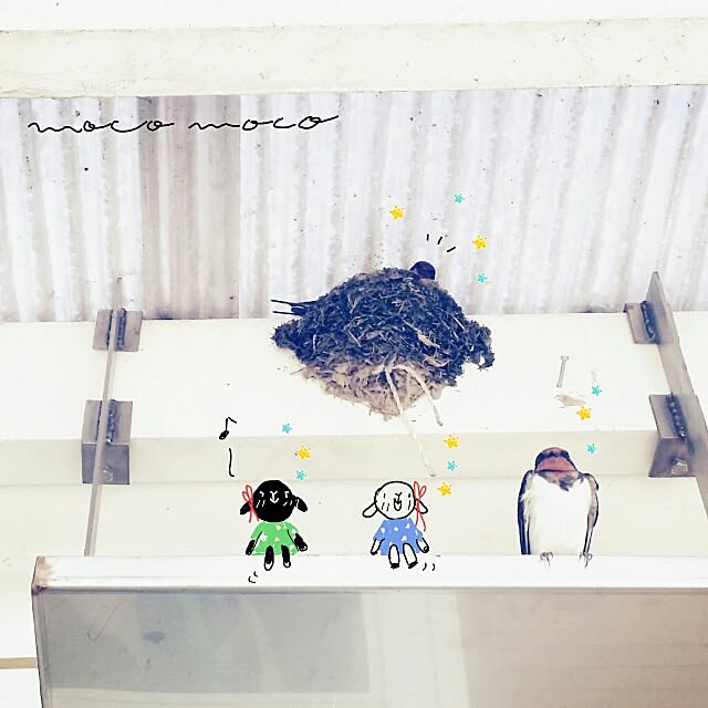 moco-mocoさんの実例写真