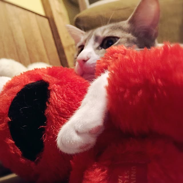 pepperさんの実例写真