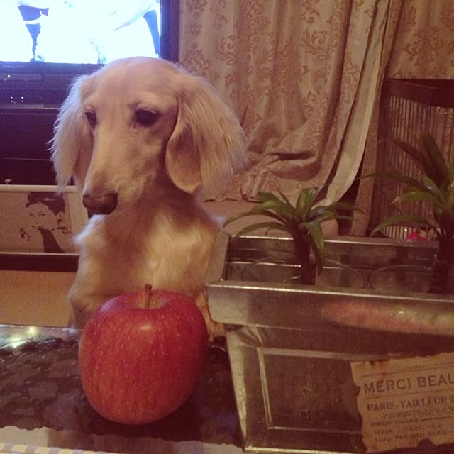 lupinsmileさんの実例写真
