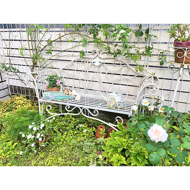 ponさんの実例写真