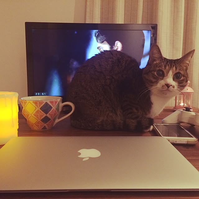 ayapiiiiceさんの実例写真