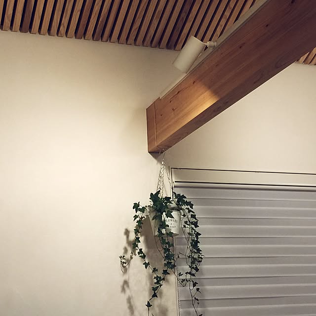 junさんの実例写真