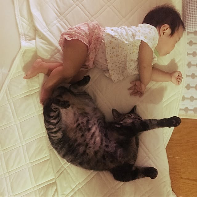 isseさんの実例写真