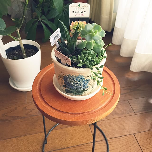 pakilaさんの実例写真