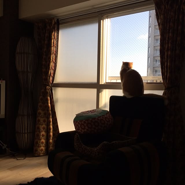 bobooooonさんの実例写真