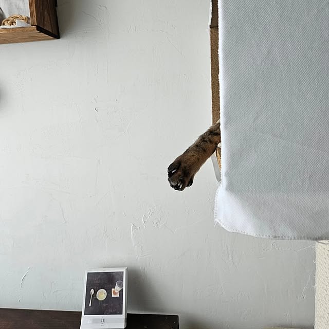 hassyさんの部屋
