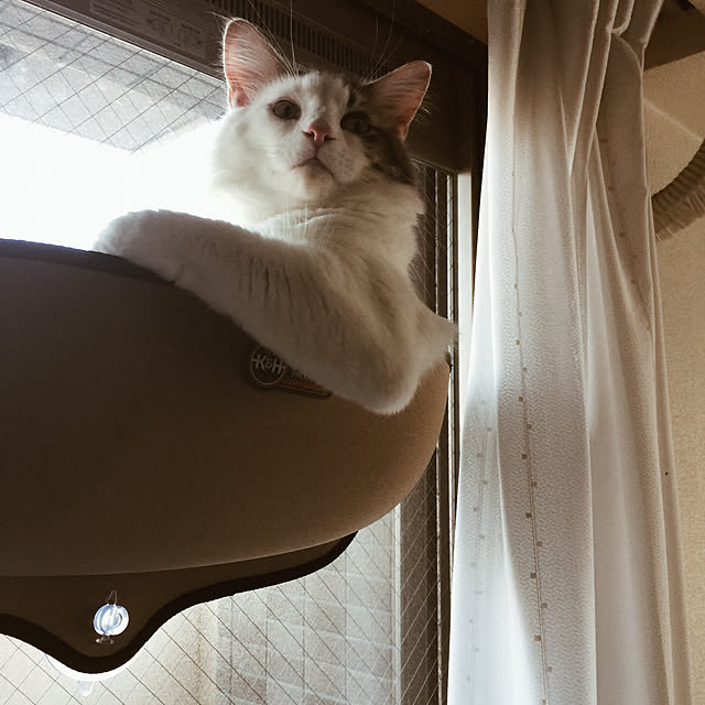 komaさんの実例写真