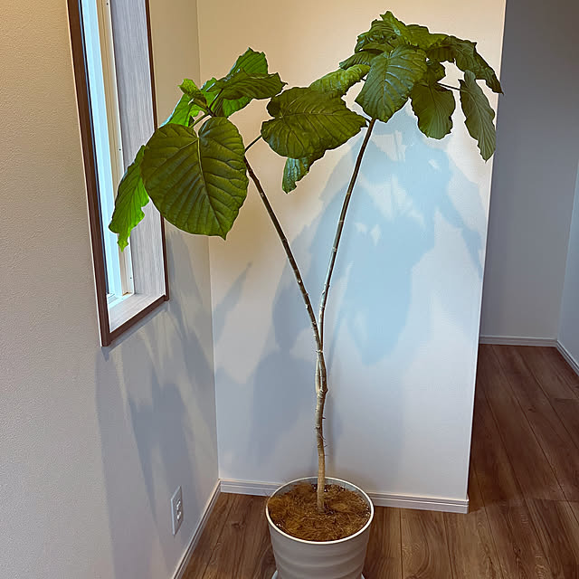 seiさんの部屋