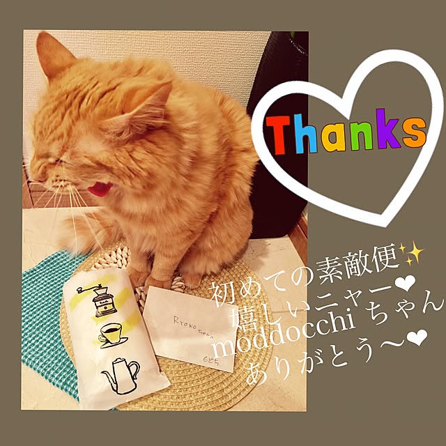 Ryokoさんの実例写真