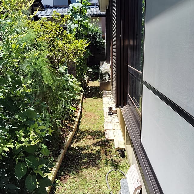 momomamaさんの部屋