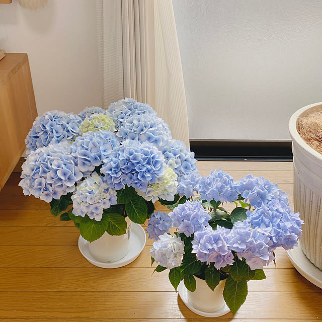 yukaさんの実例写真