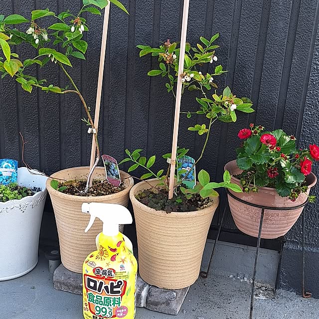 hanapanさんの実例写真