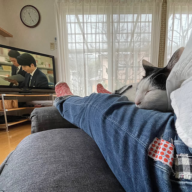 nobikoさんの実例写真