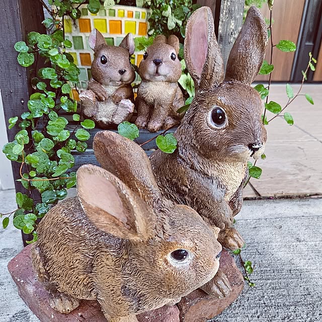 mocomocoさんの部屋
