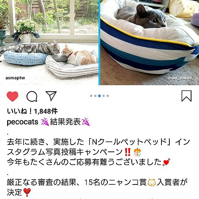 asmaさんの実例写真
