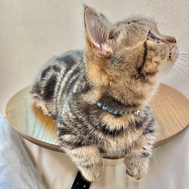 chiiさんの実例写真