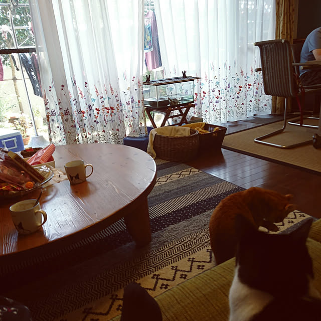 okyosan101さんの実例写真